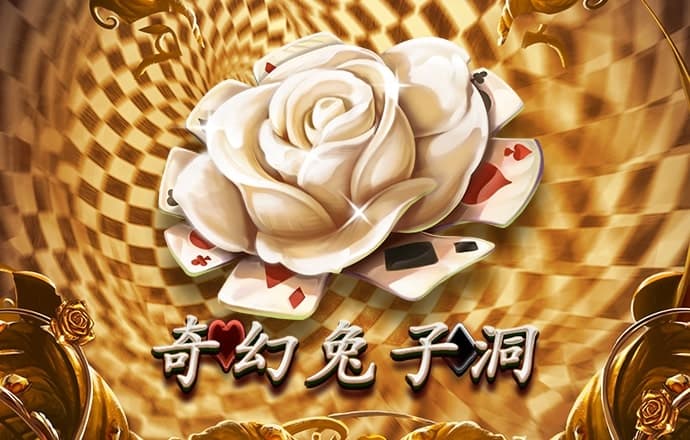 bibo必博体育